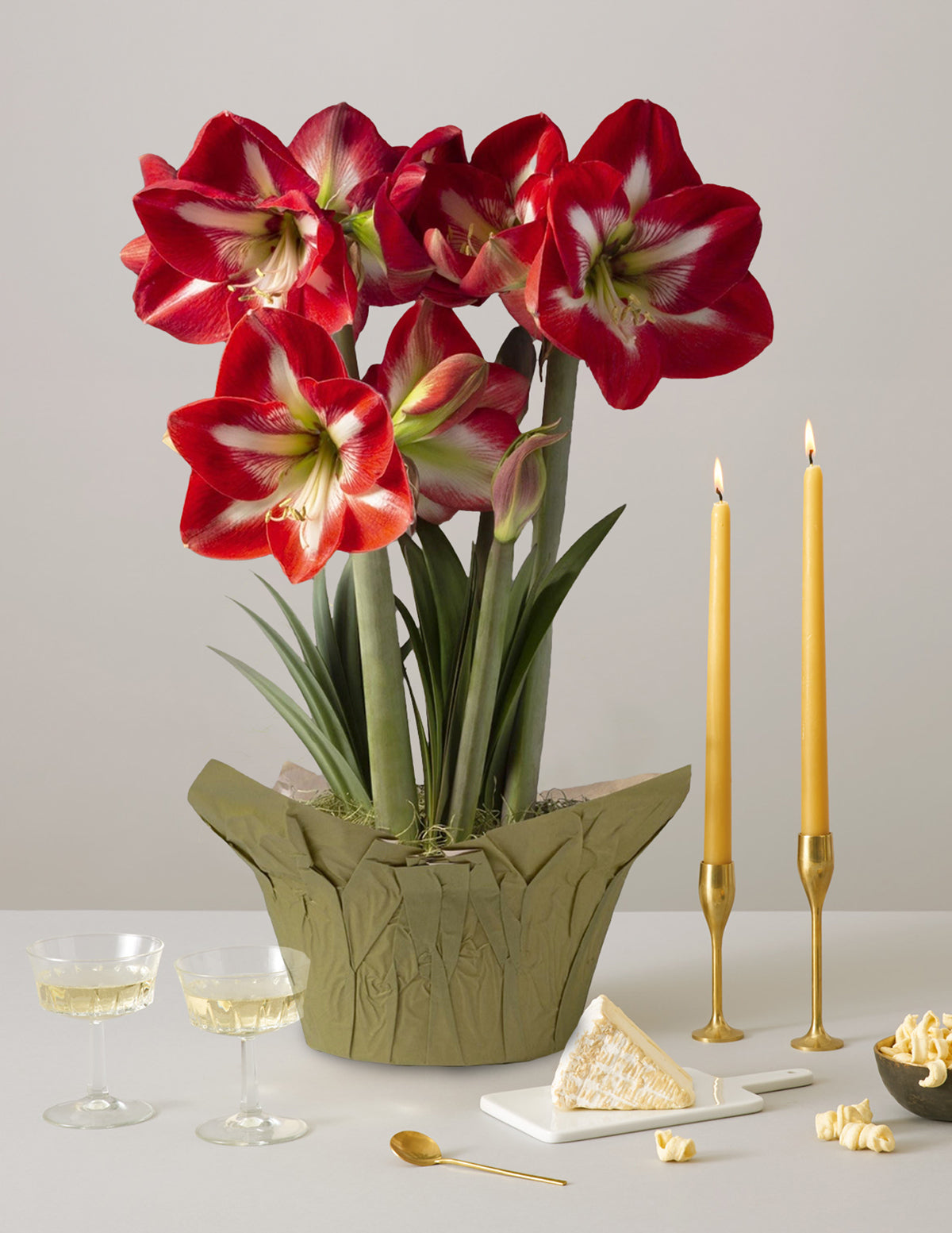 Yılbaşı Özel Amaryllis