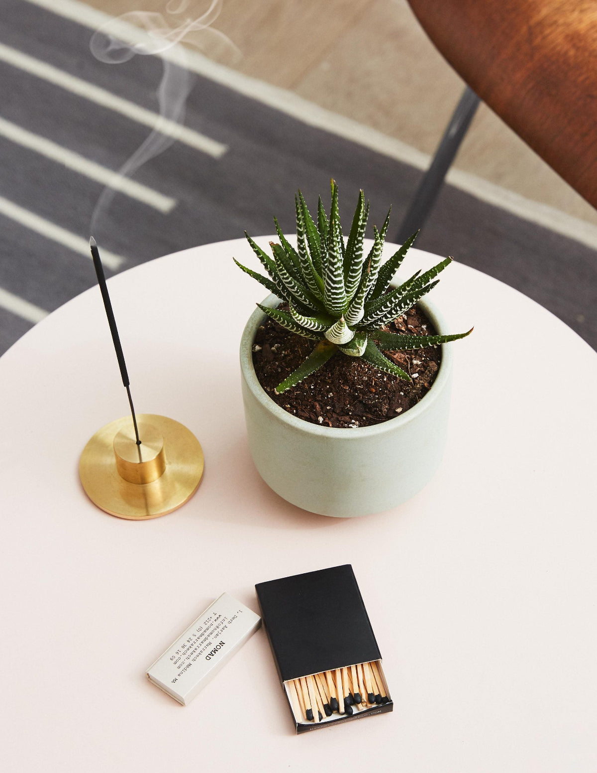 Succulent Squad Parti Paketi