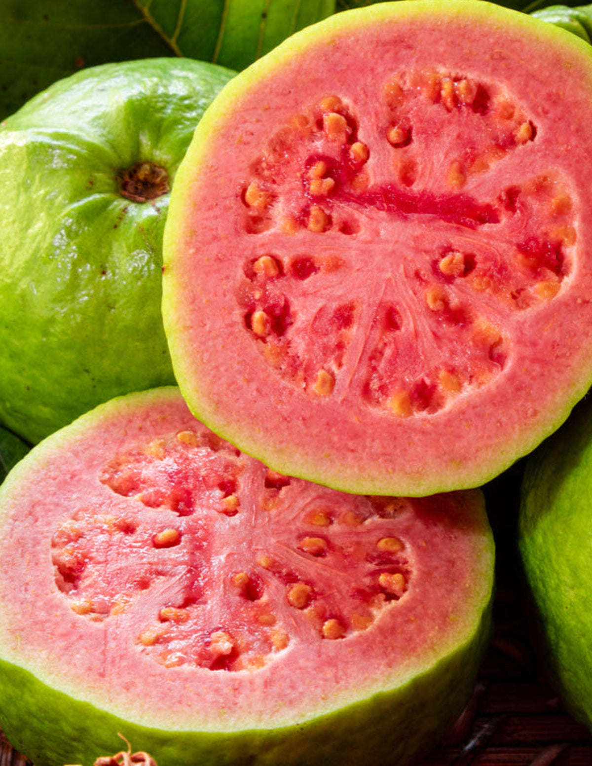 Ruby Supreme Guava Ağacı