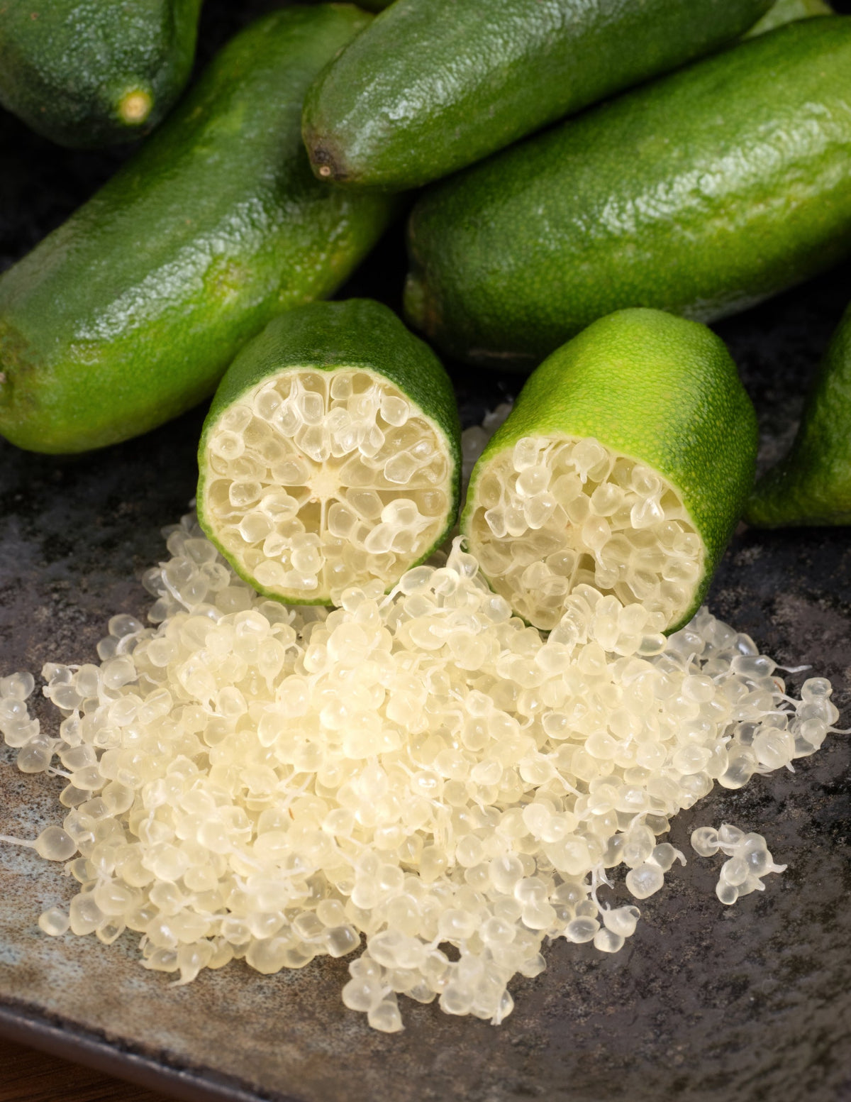 Avustralya Parmak Limonu Ağacı