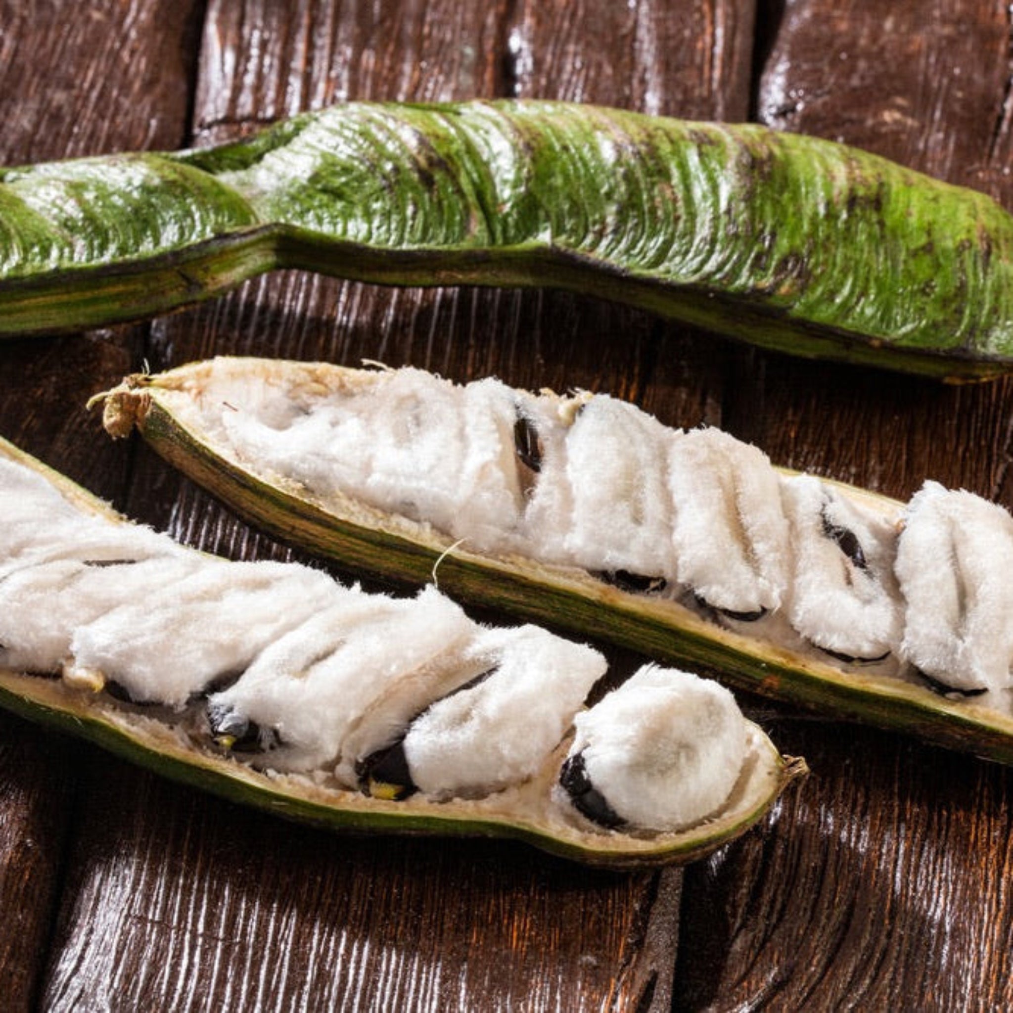 Ice Cream Bean Ağacı