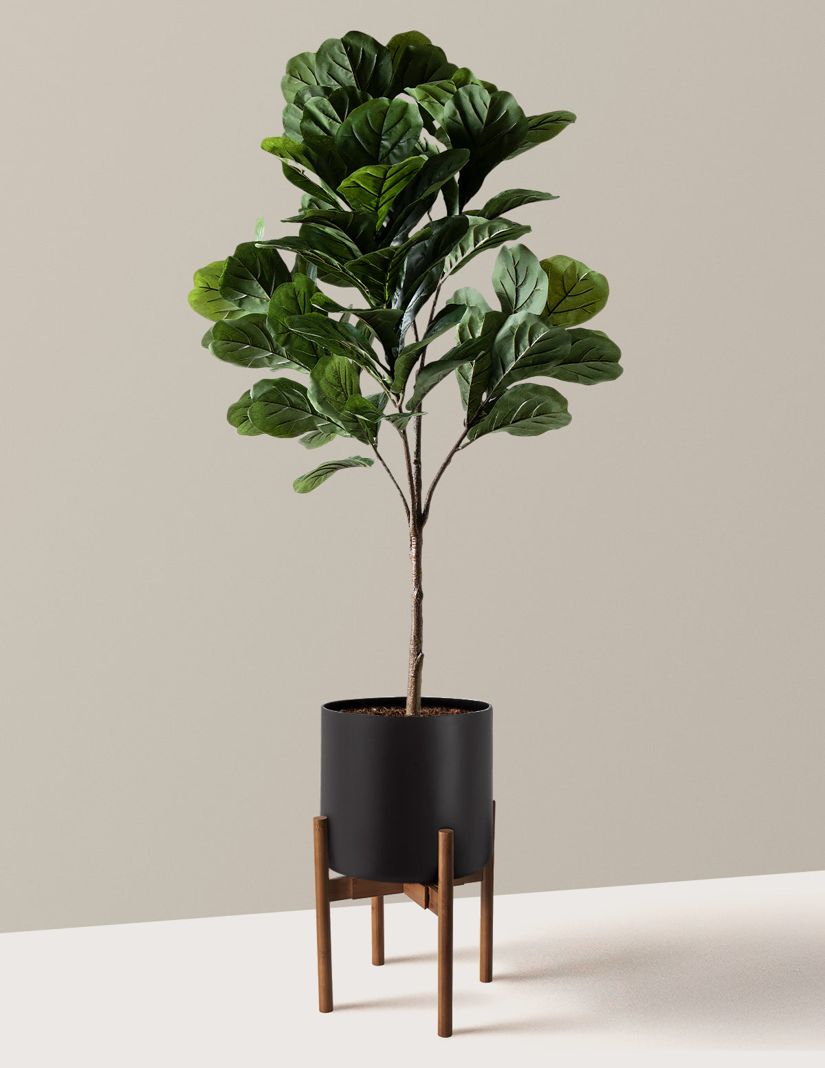 Yapay Deve Tabanı (Fiddle Leaf Fig) Ağacı