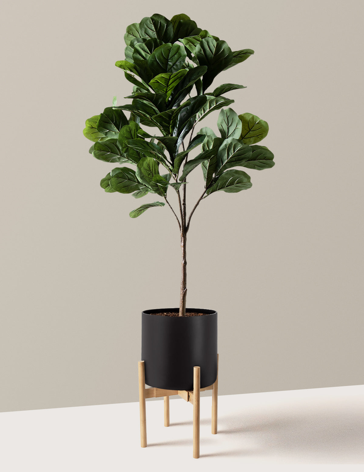 Yapay Deve Tabanı (Fiddle Leaf Fig) Ağacı