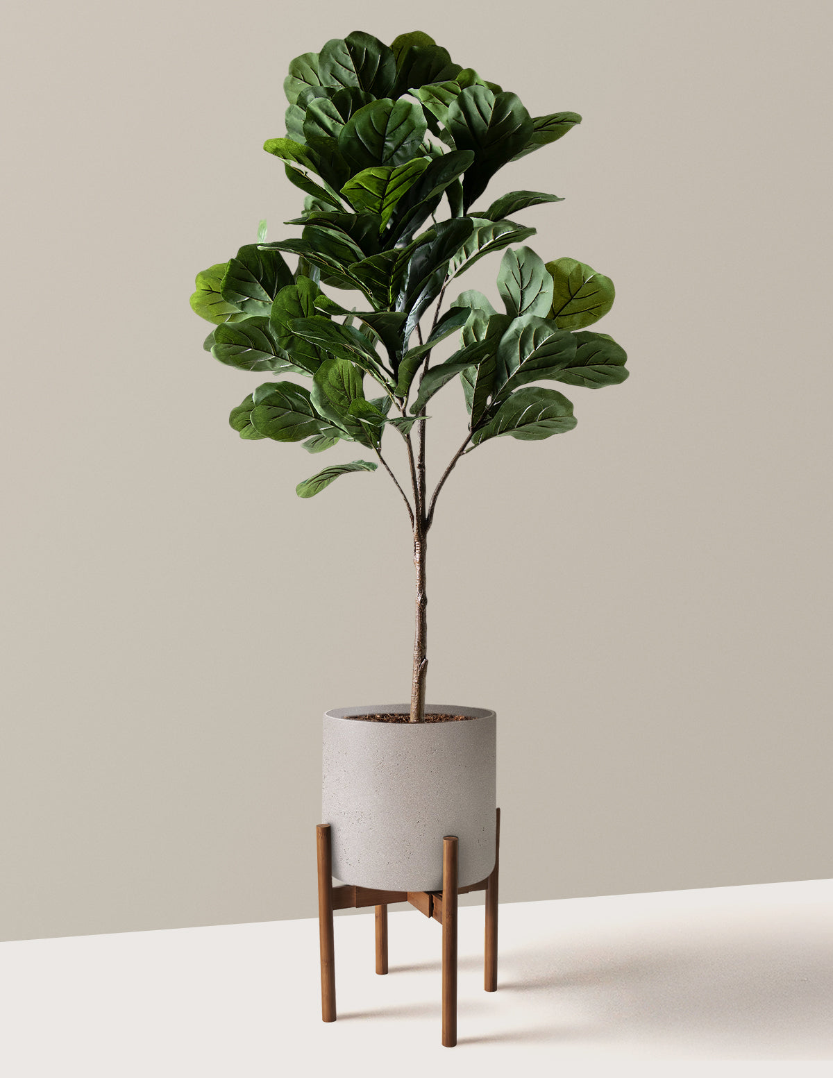 Yapay Deve Tabanı (Fiddle Leaf Fig) Ağacı