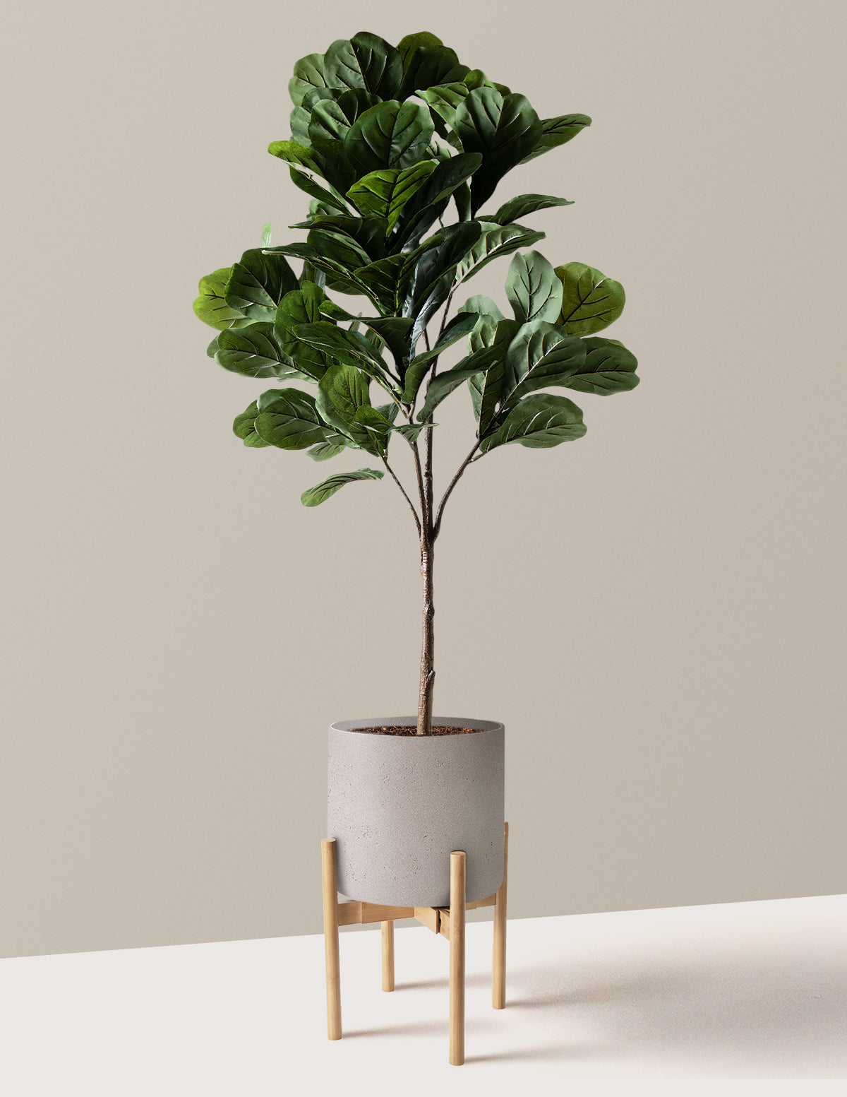 Yapay Deve Tabanı (Fiddle Leaf Fig) Ağacı