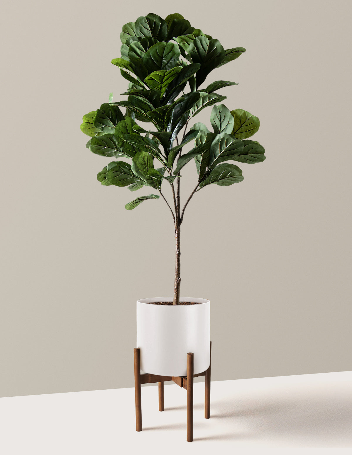 Yapay Deve Tabanı (Fiddle Leaf Fig) Ağacı