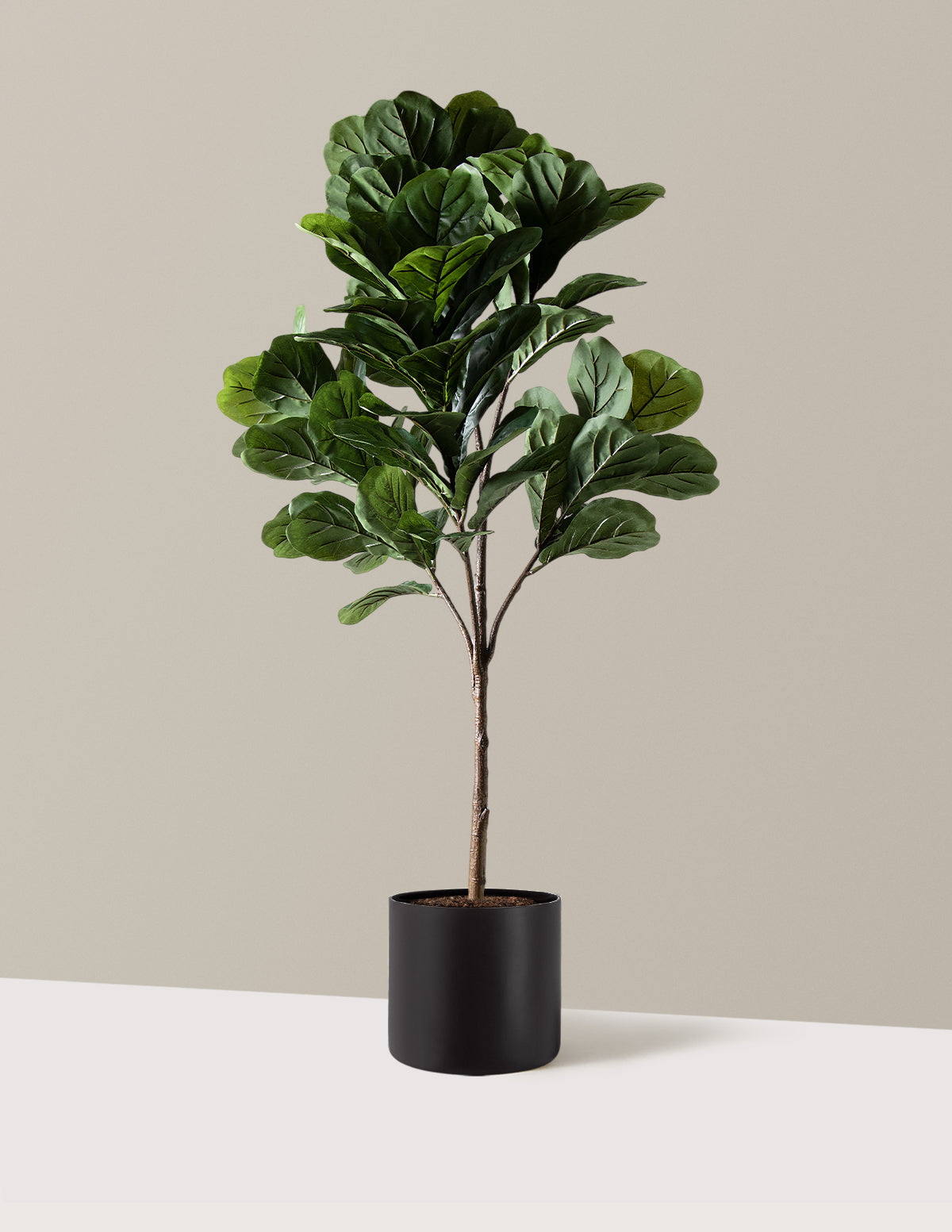 Yapay Deve Tabanı (Fiddle Leaf Fig) Ağacı