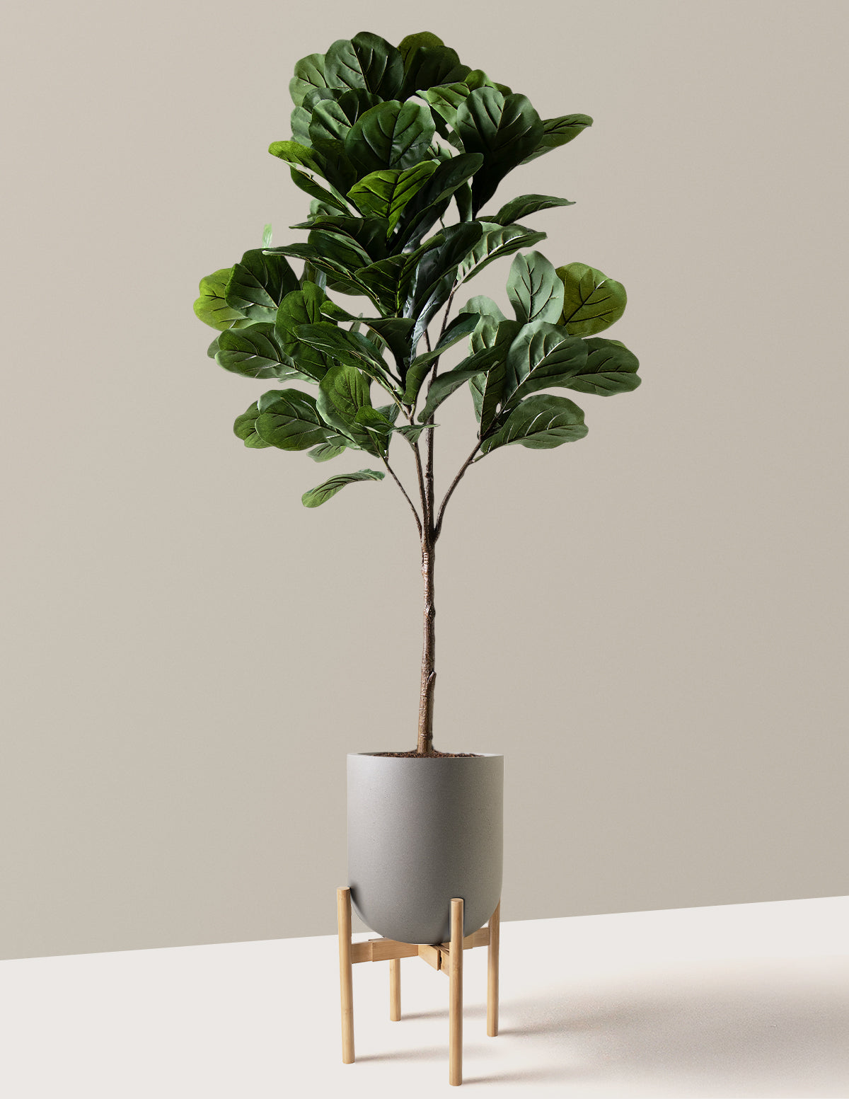 Yapay Deve Tabanı (Fiddle Leaf Fig) Ağacı