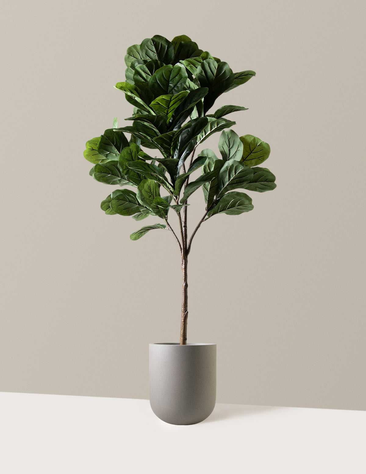 Yapay Deve Tabanı (Fiddle Leaf Fig) Ağacı