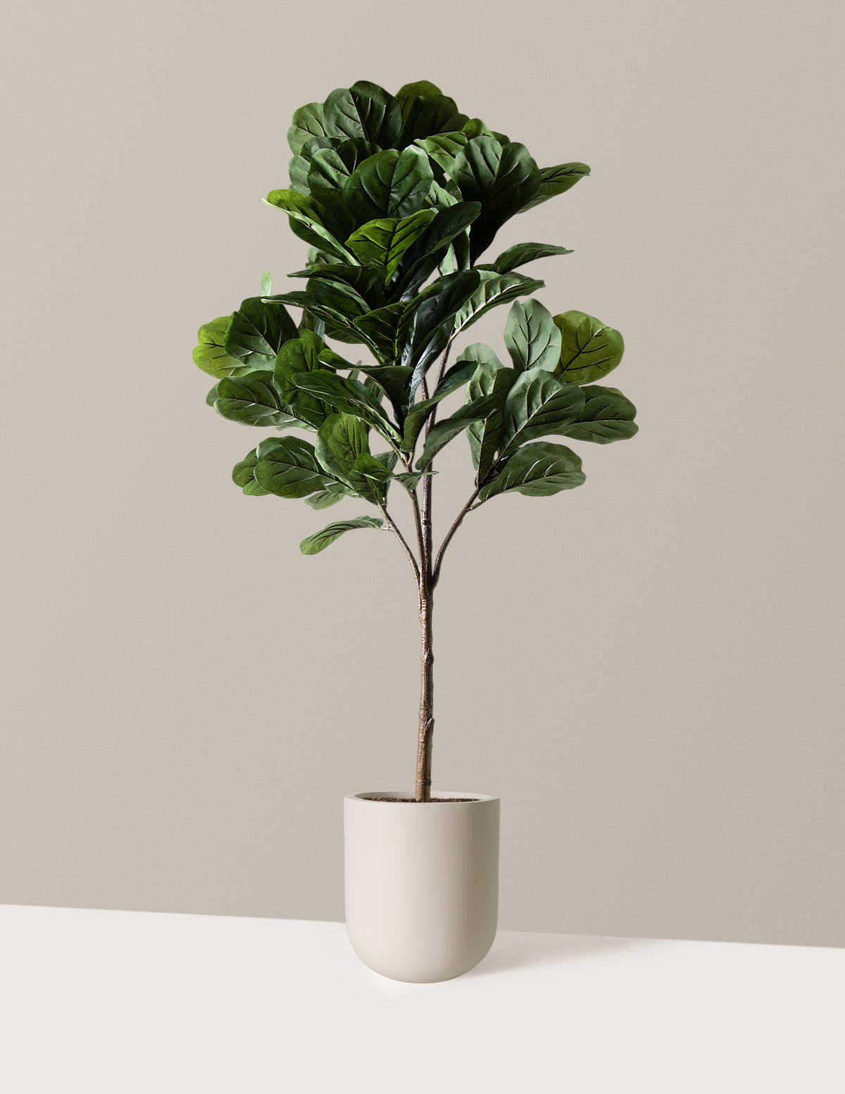 Yapay Deve Tabanı (Fiddle Leaf Fig) Ağacı