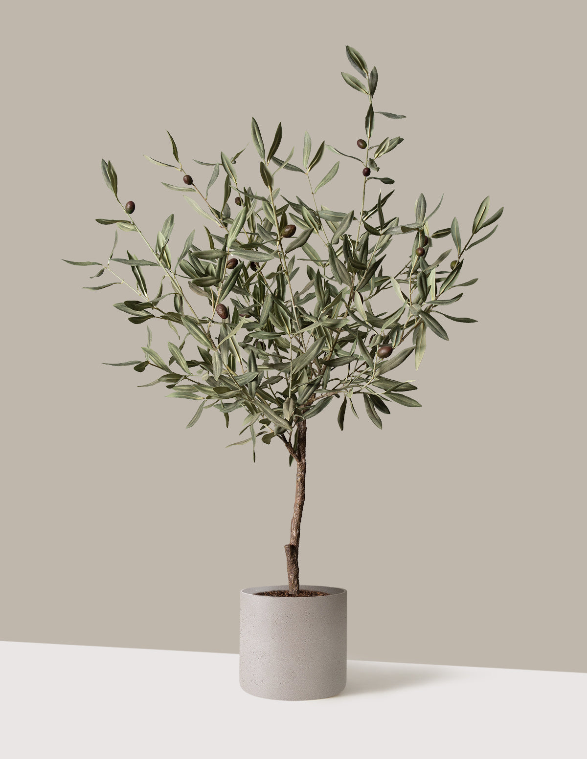 Yapay Zeytin Ağacı