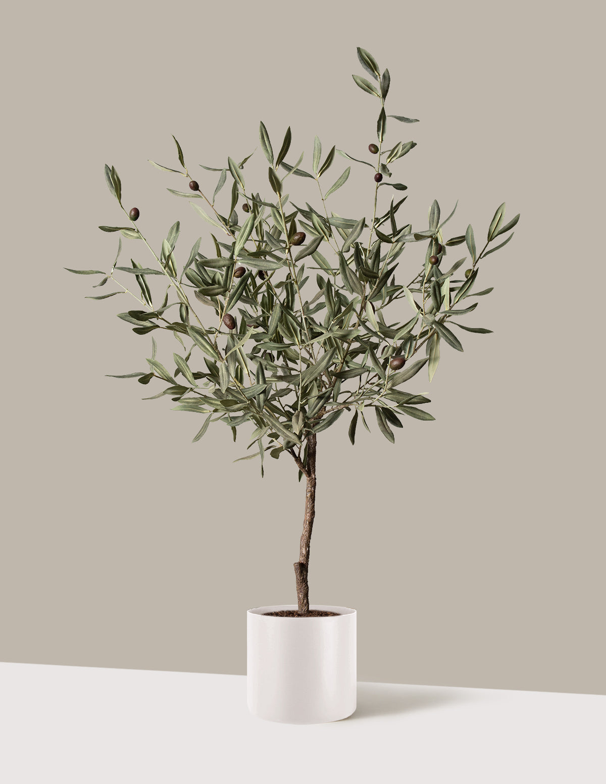 Yapay Zeytin Ağacı