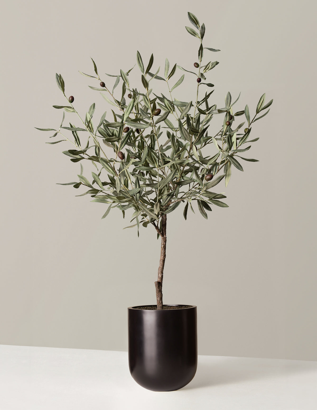 Yapay Zeytin Ağacı