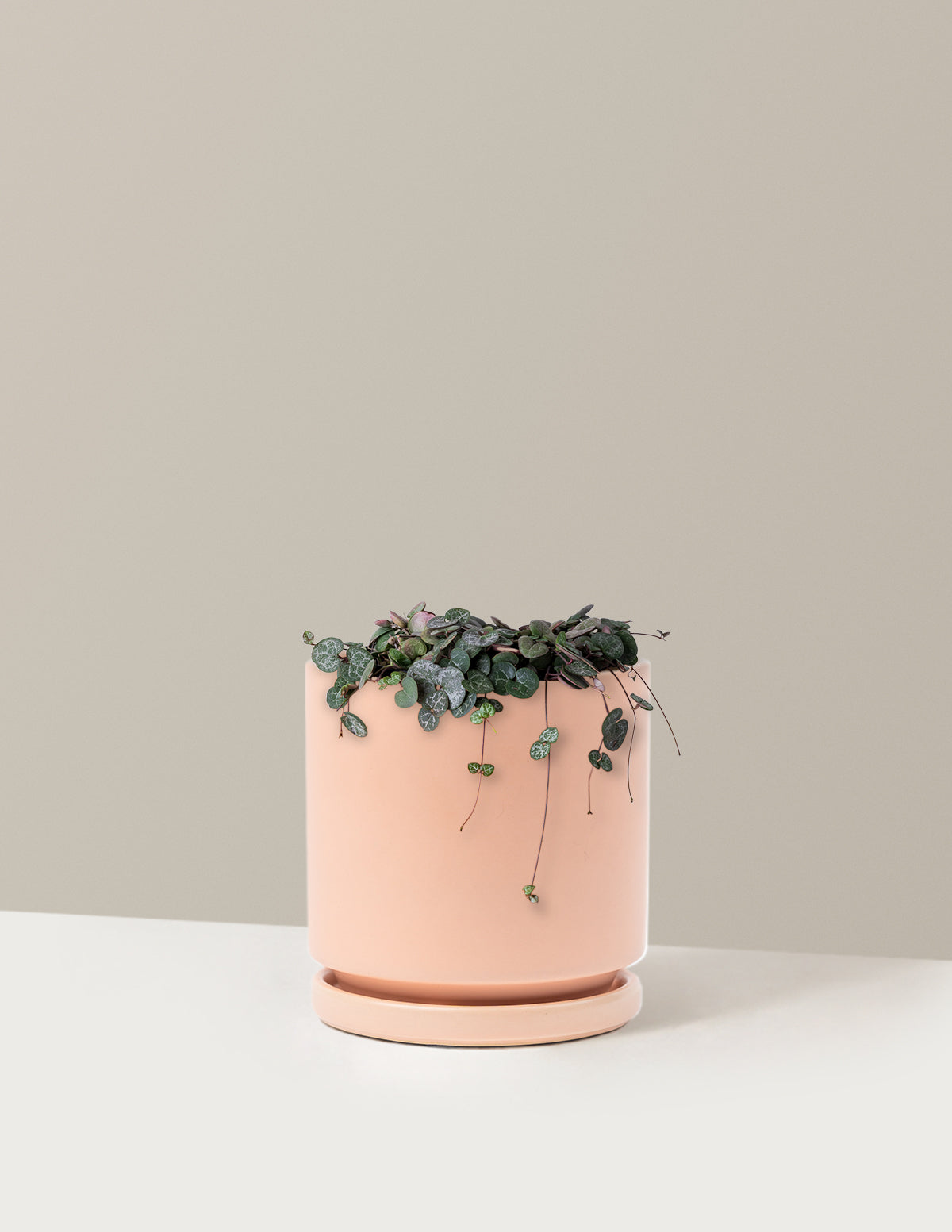 String of Hearts (Kalp Kalbe Karşı)