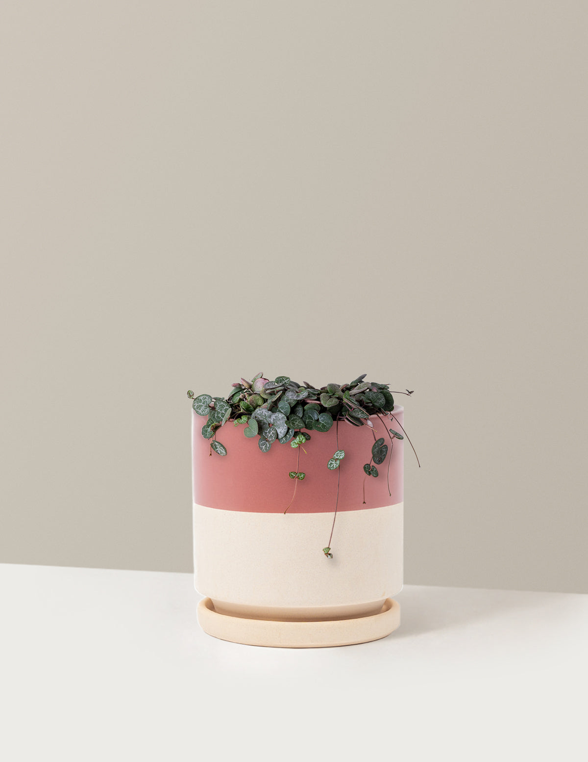 String of Hearts (Kalp Kalbe Karşı)