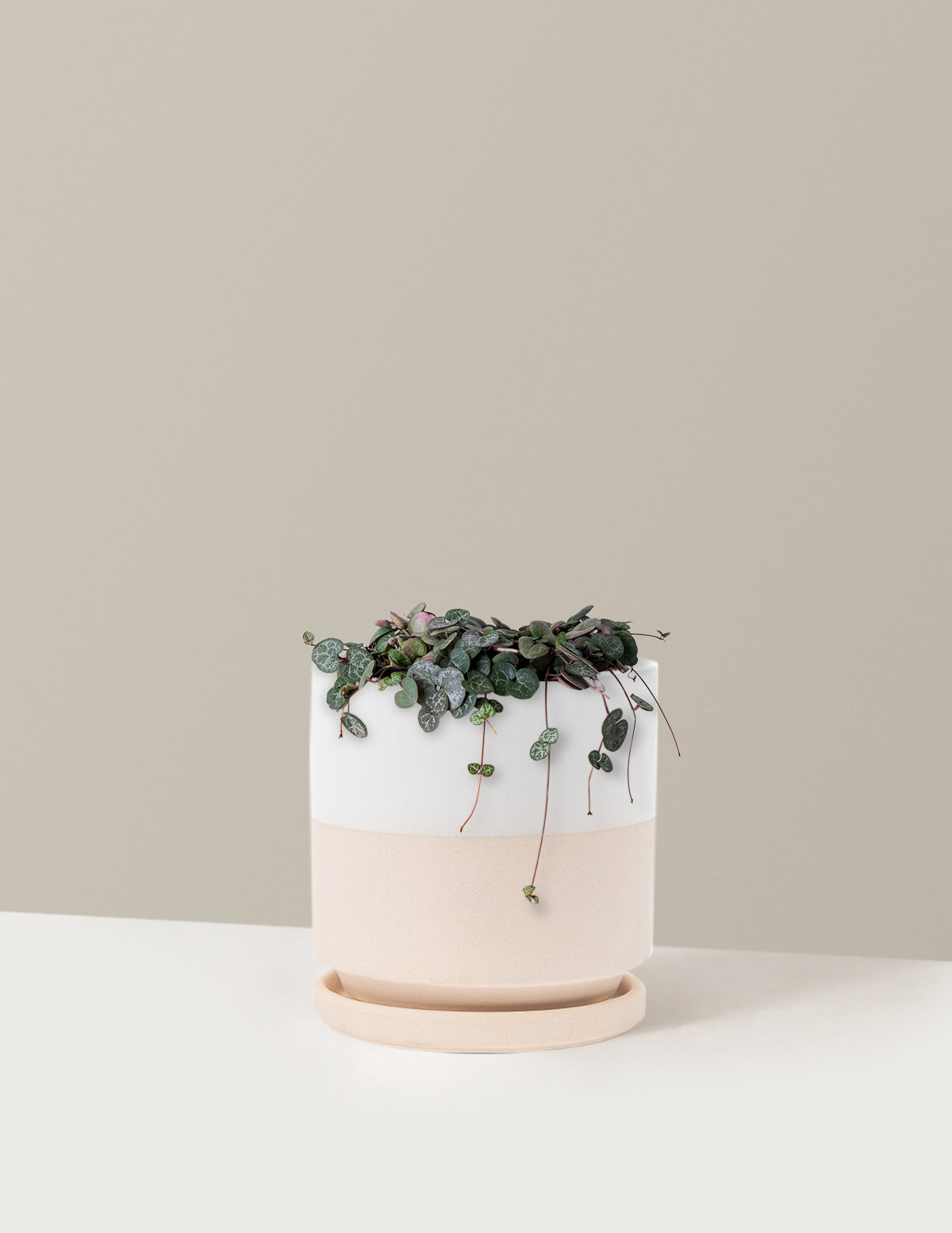 String of Hearts (Kalp Kalbe Karşı)