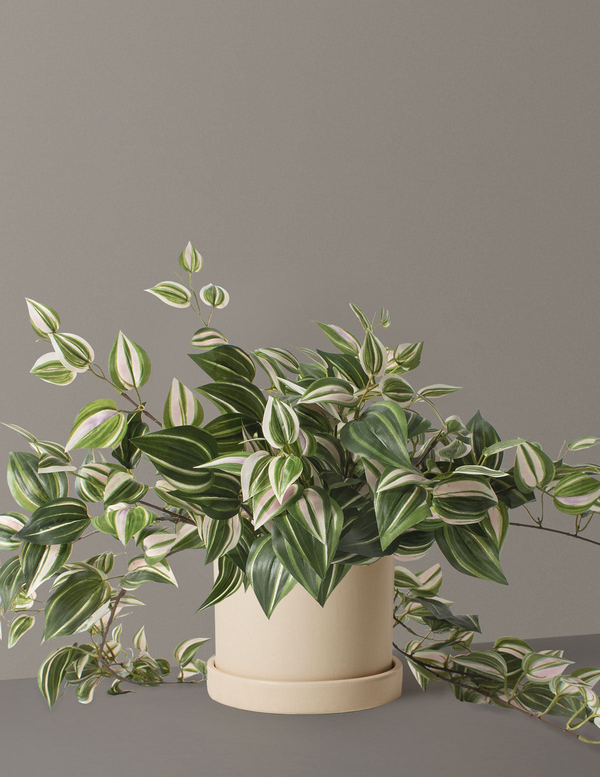 Yapay Tradescantia Zebrina