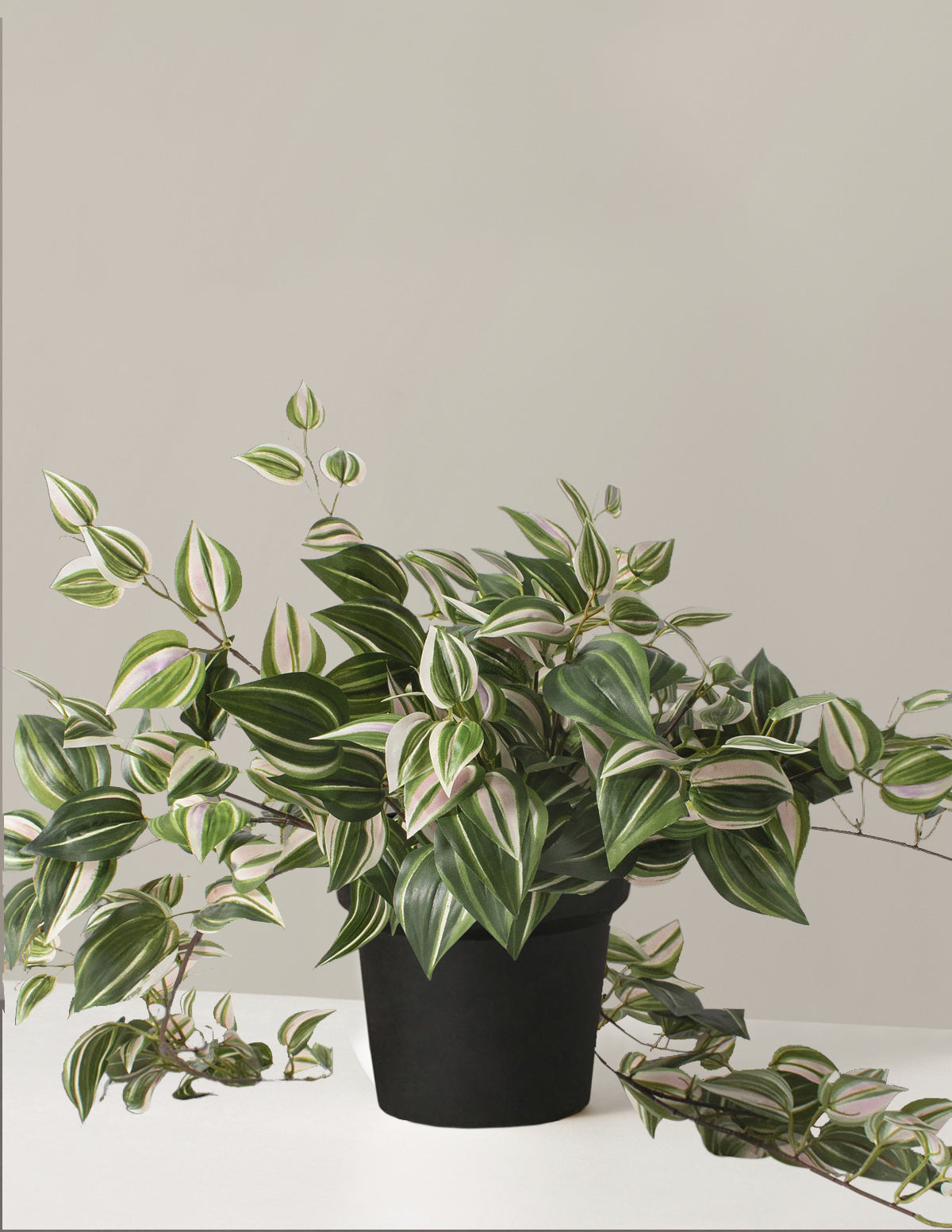 Yapay Tradescantia Zebrina