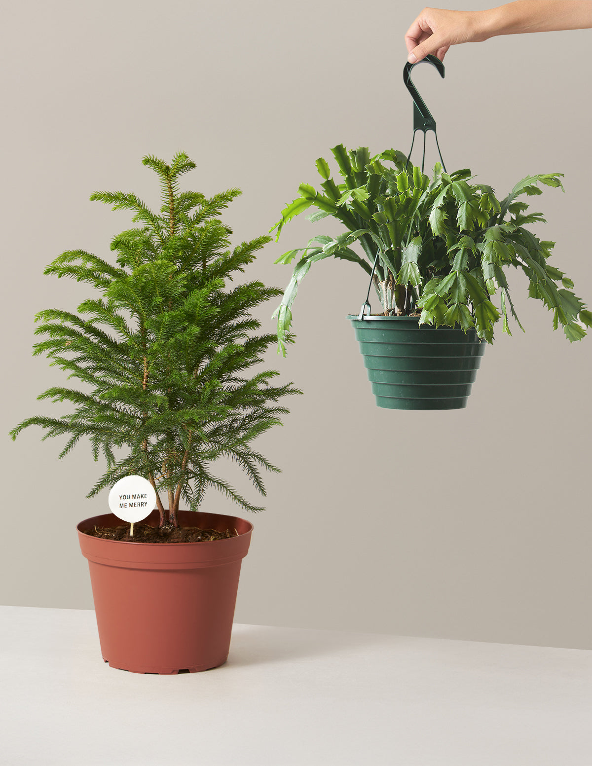 Merry and Bright İkili Set