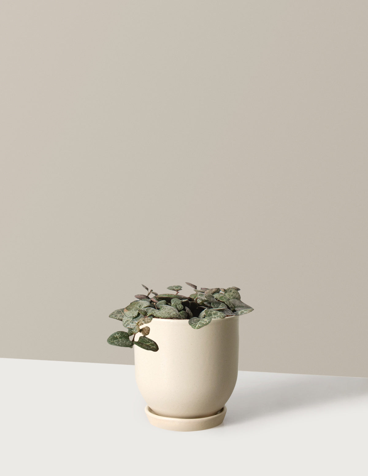 String of Hearts (Kalp Kalbe Karşı)