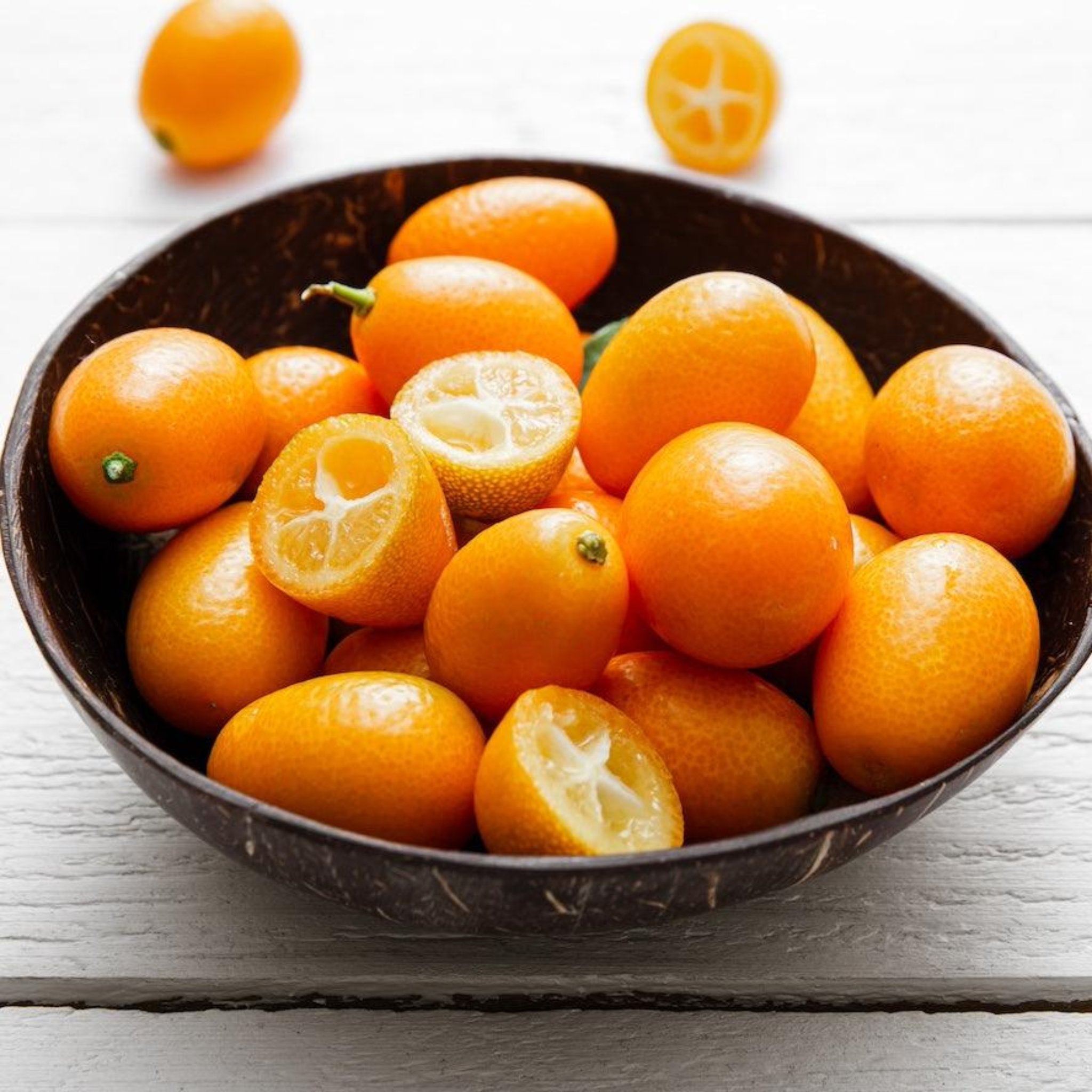 Fukushu Kumquat Ağacı
