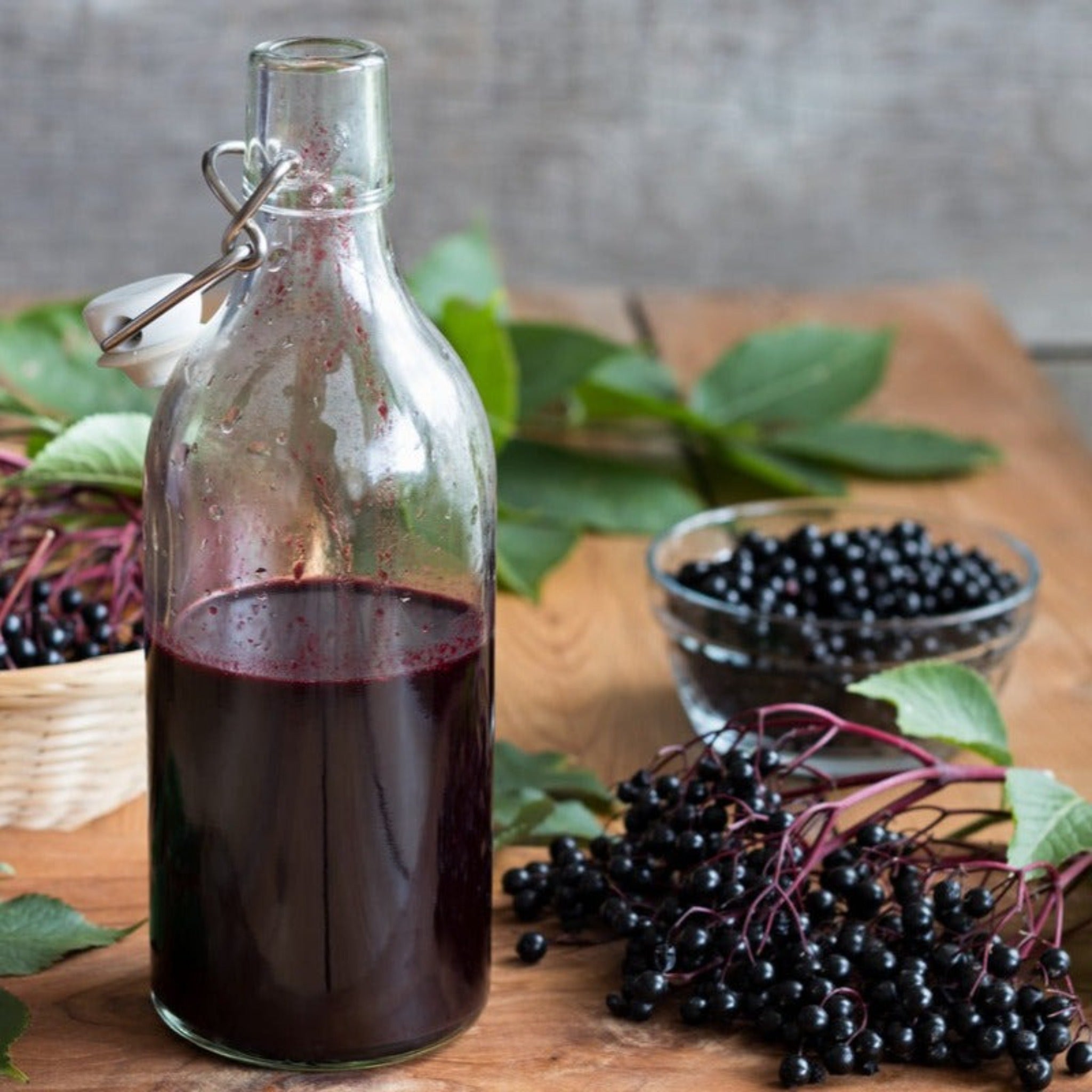 Marge Mürver (Marge Elderberry)