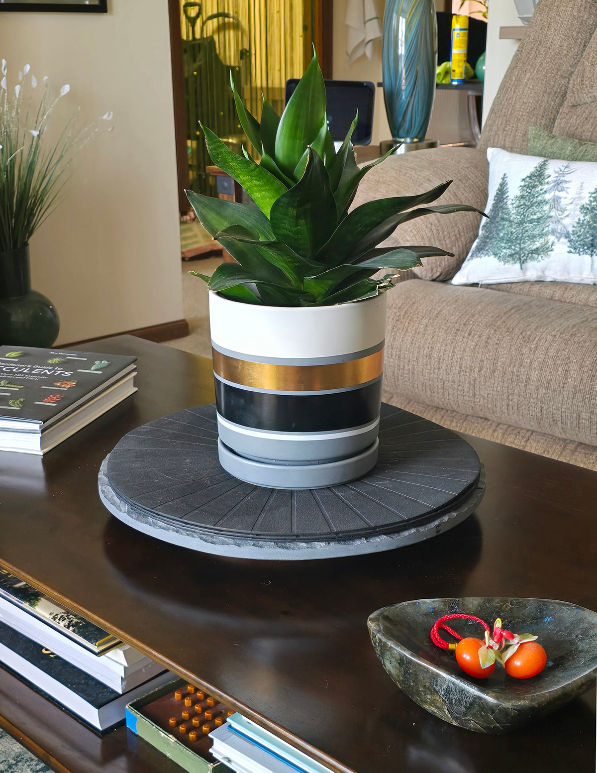 Paşa Kılıcı Hahnii (Snake Plant Hahnii)