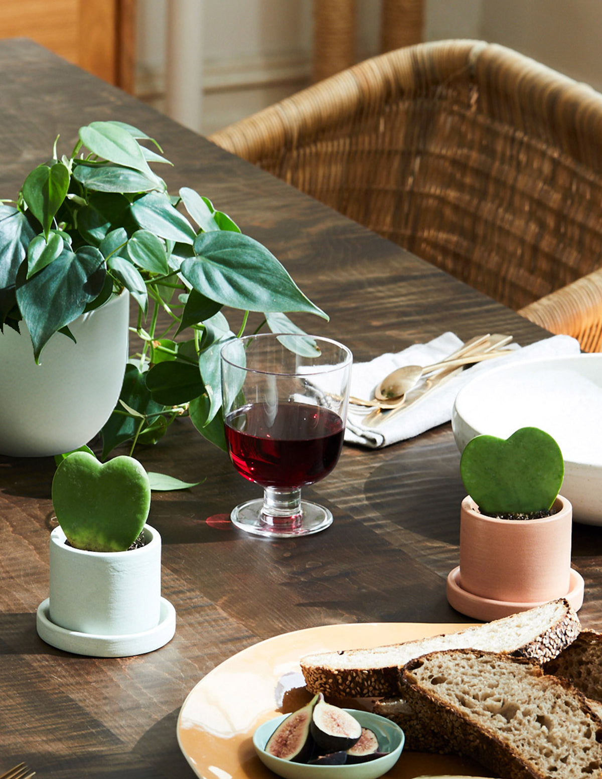 Kalp Yapraklı Philodendron Askılı Sepet
