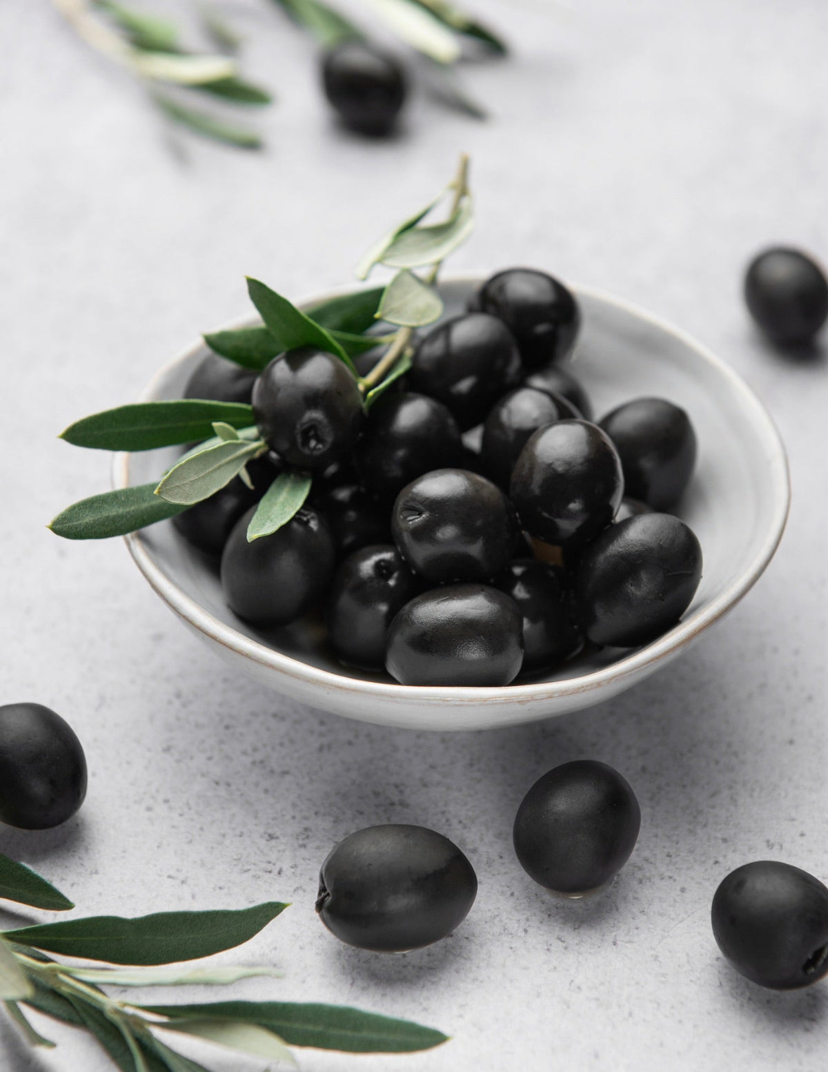 Mission Zeytin Ağacı