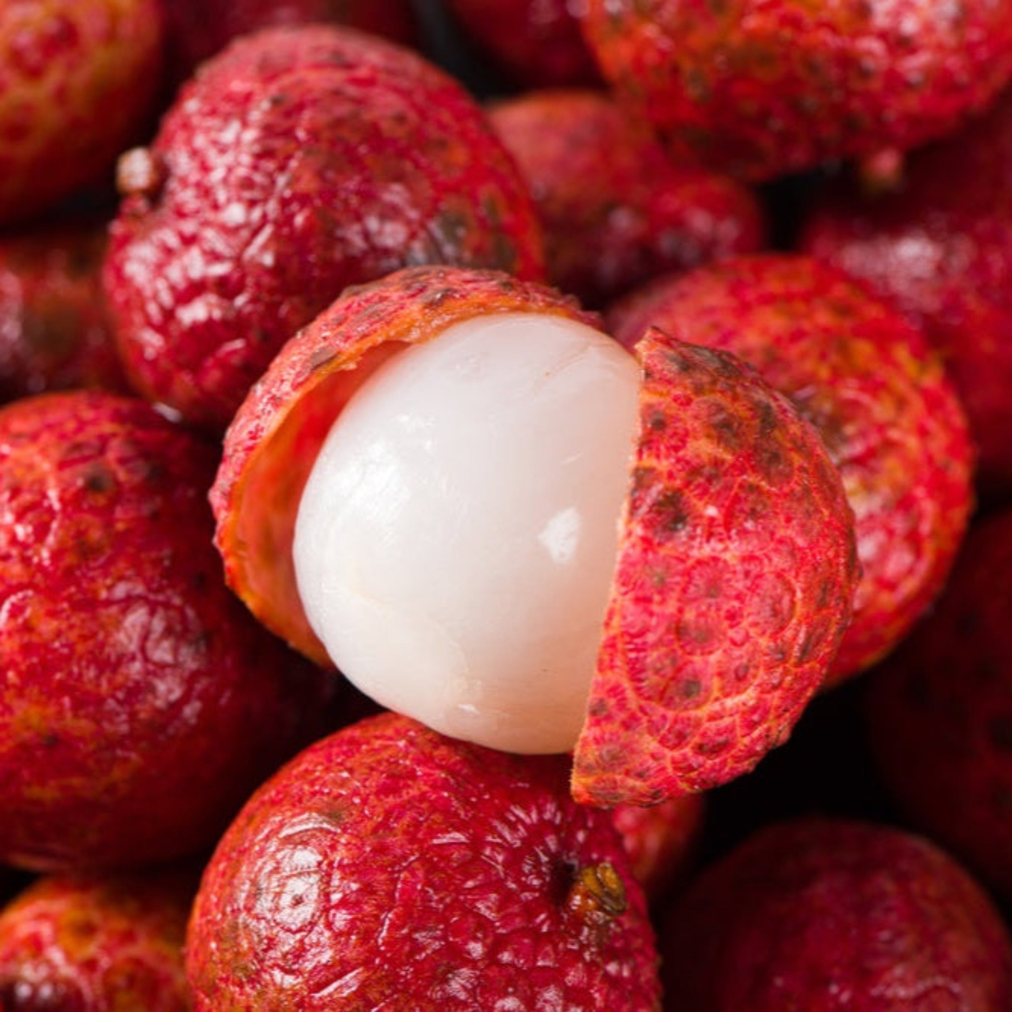 Mauritius Lychee (Liçi)