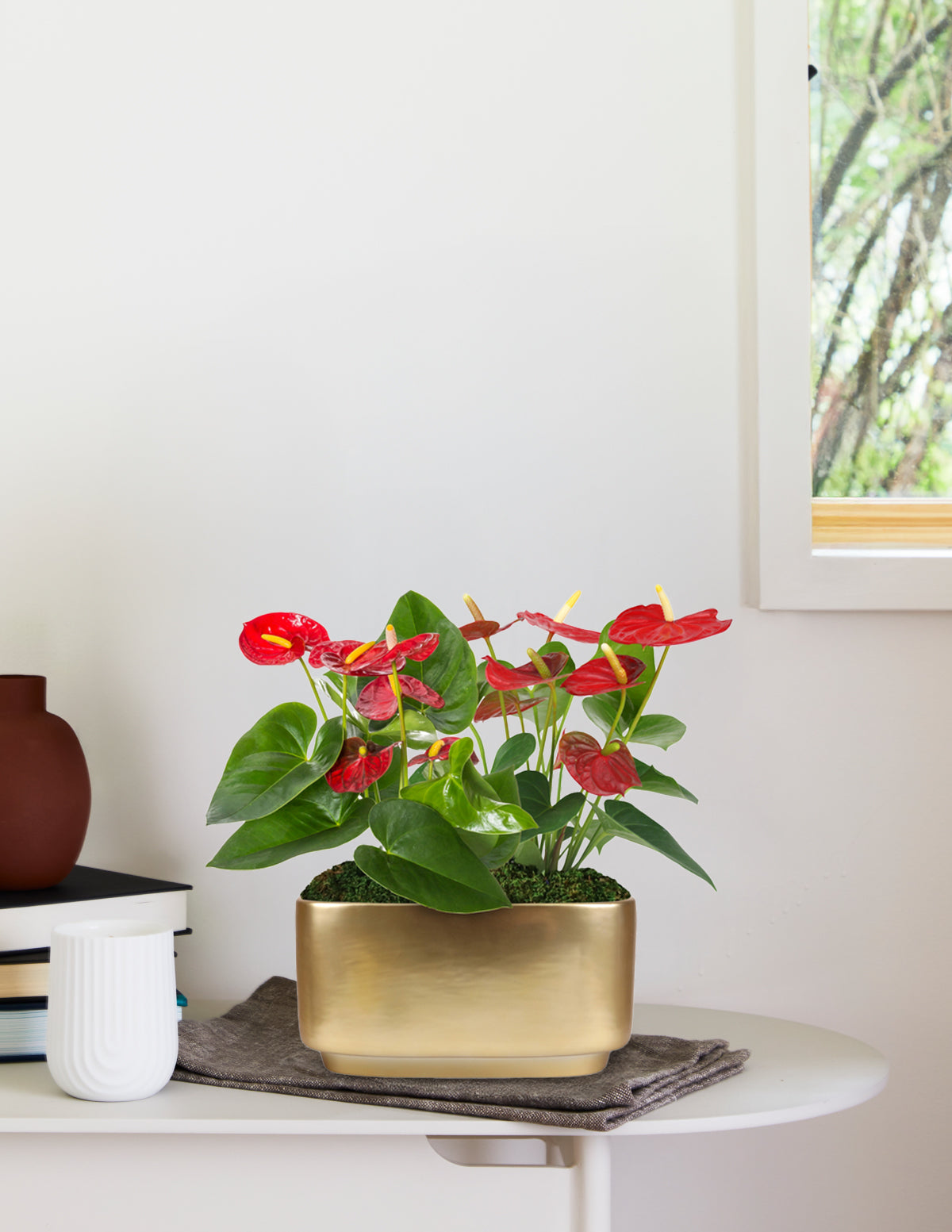 Büyük Boy İkili Anthurium