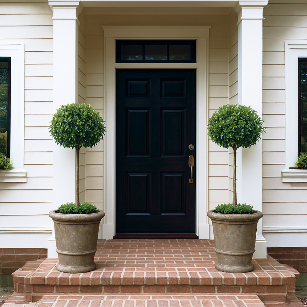 İngiliz Defnesi Topiary (Tek Top)
