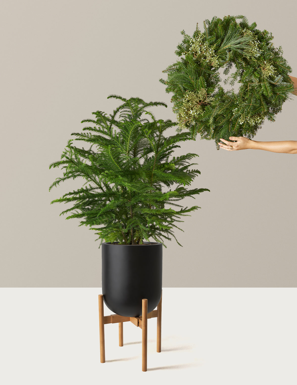 Holiday Duo Deluxe