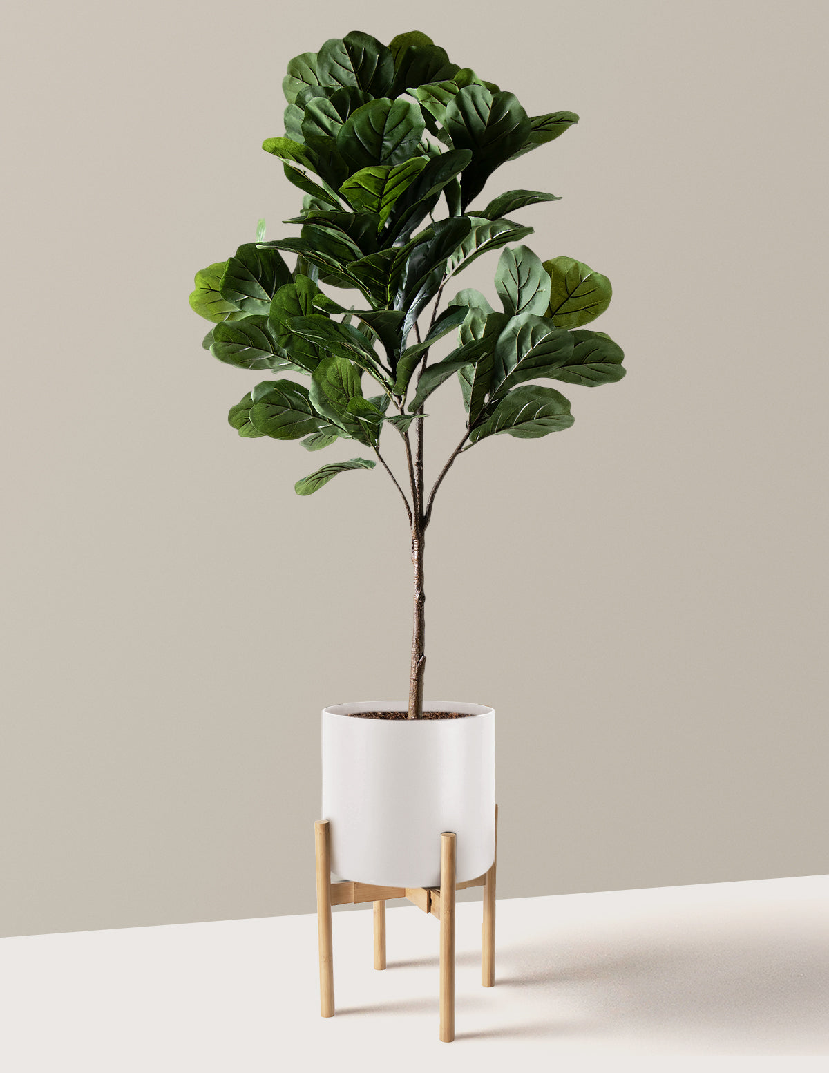 Yapay Deve Tabanı (Fiddle Leaf Fig) Ağacı