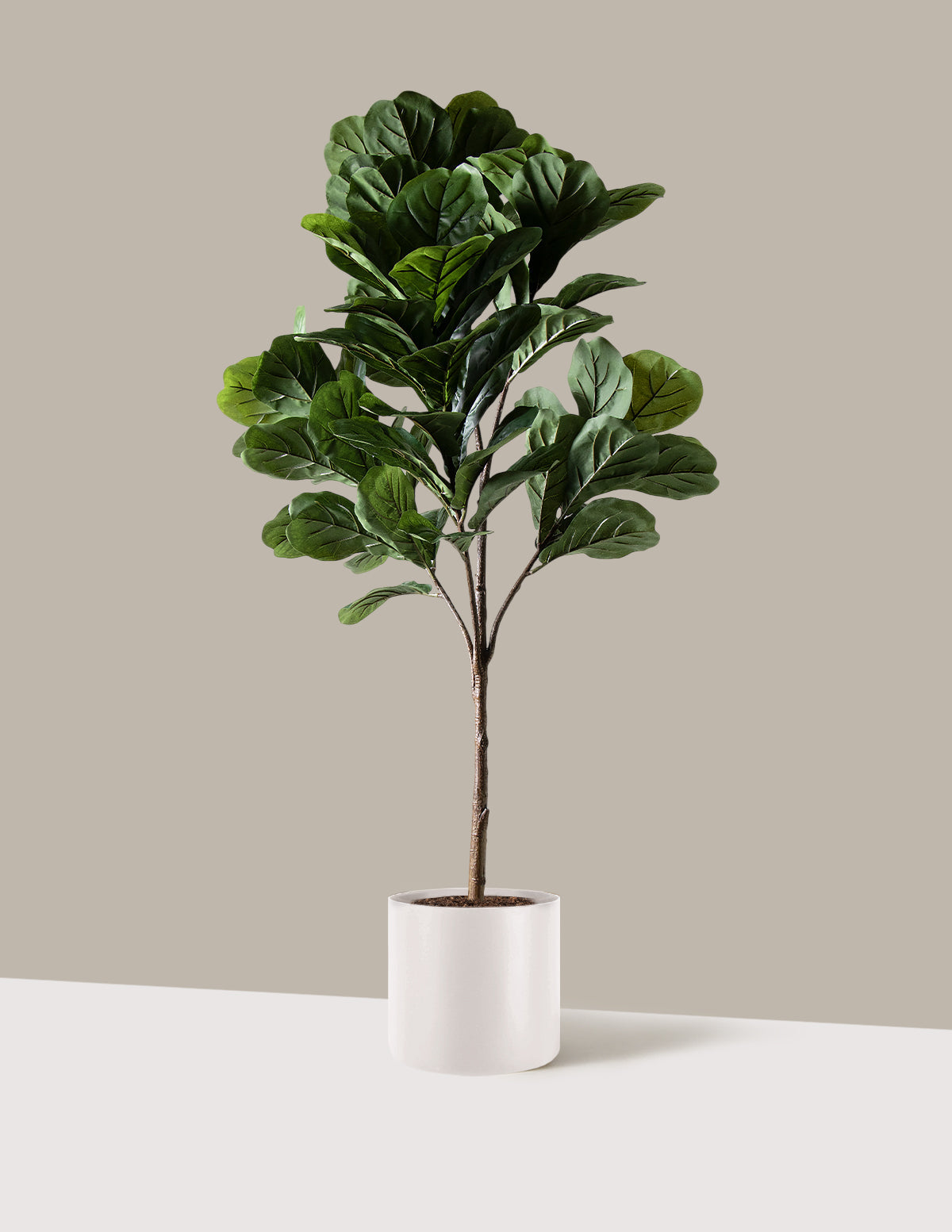 Yapay Deve Tabanı (Fiddle Leaf Fig) Ağacı