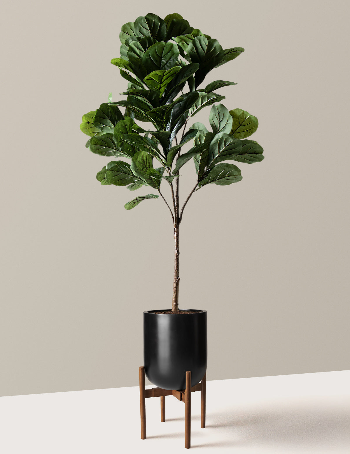 Yapay Deve Tabanı (Fiddle Leaf Fig) Ağacı