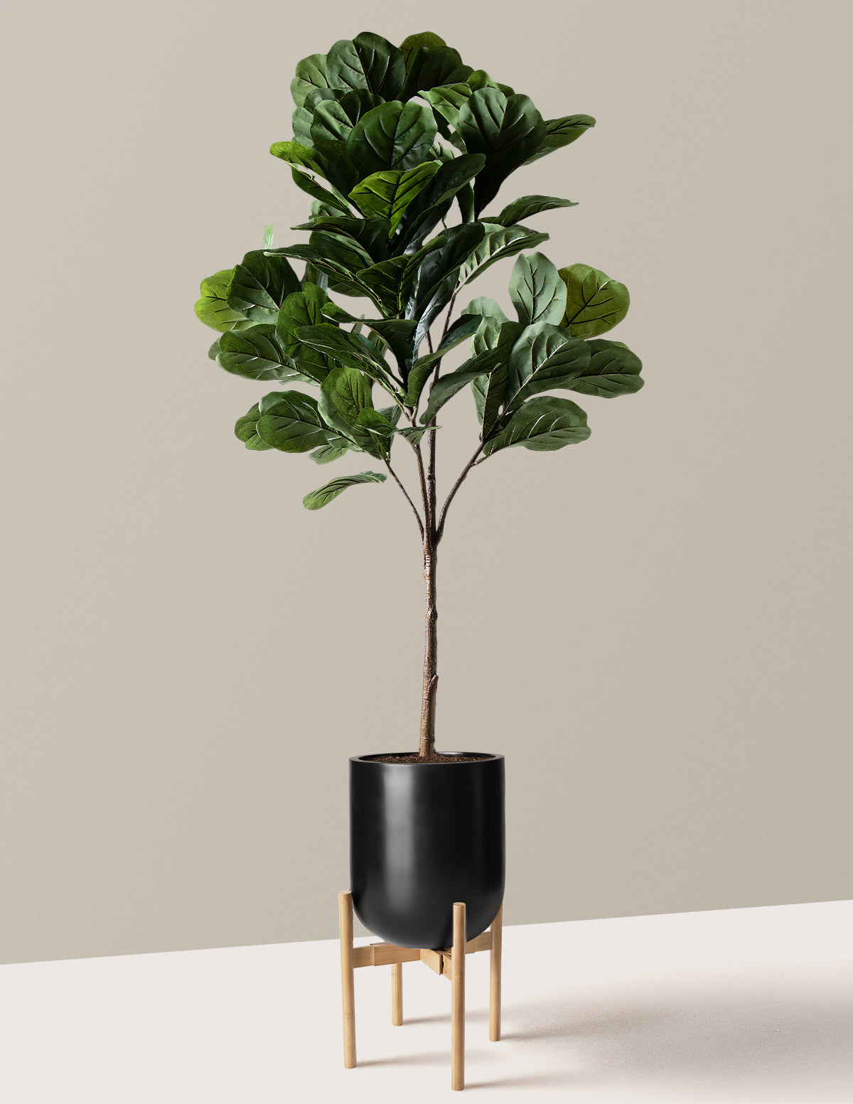Yapay Deve Tabanı (Fiddle Leaf Fig) Ağacı