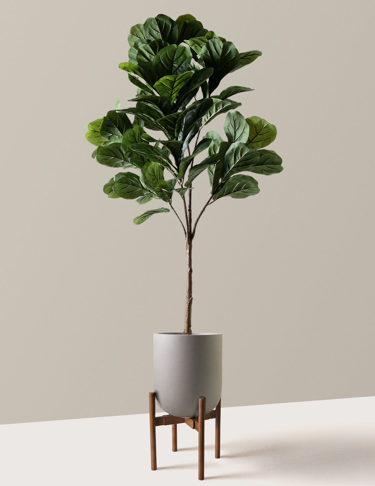 Yapay Deve Tabanı (Fiddle Leaf Fig) Ağacı