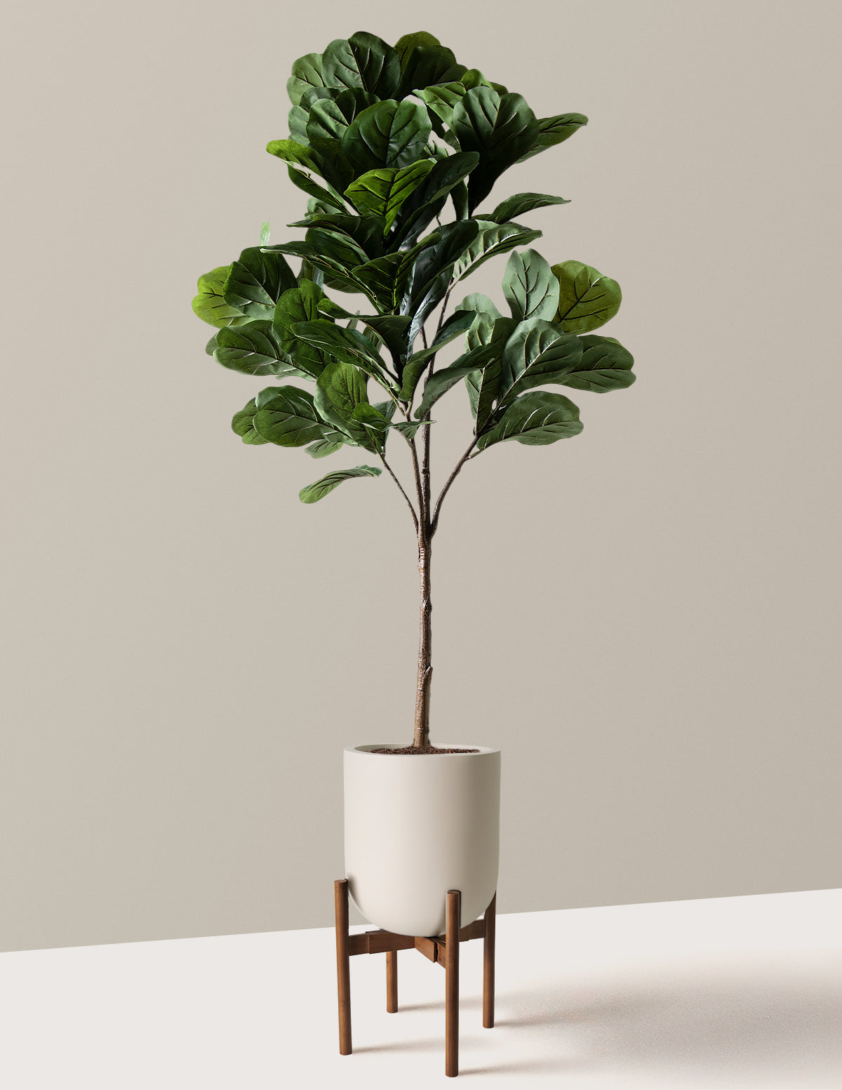 Yapay Deve Tabanı (Fiddle Leaf Fig) Ağacı