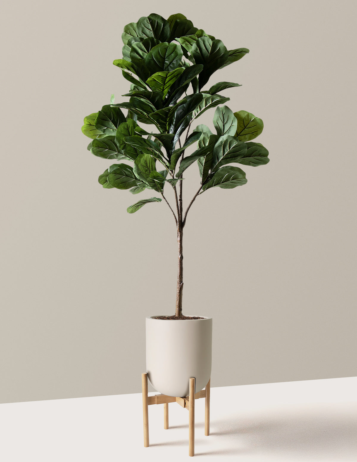 Yapay Deve Tabanı (Fiddle Leaf Fig) Ağacı