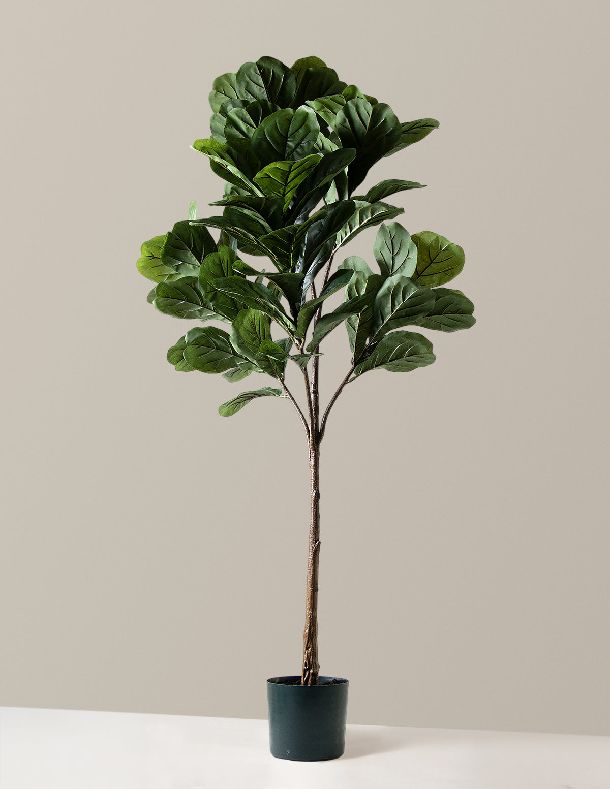 Yapay Deve Tabanı (Fiddle Leaf Fig) Ağacı