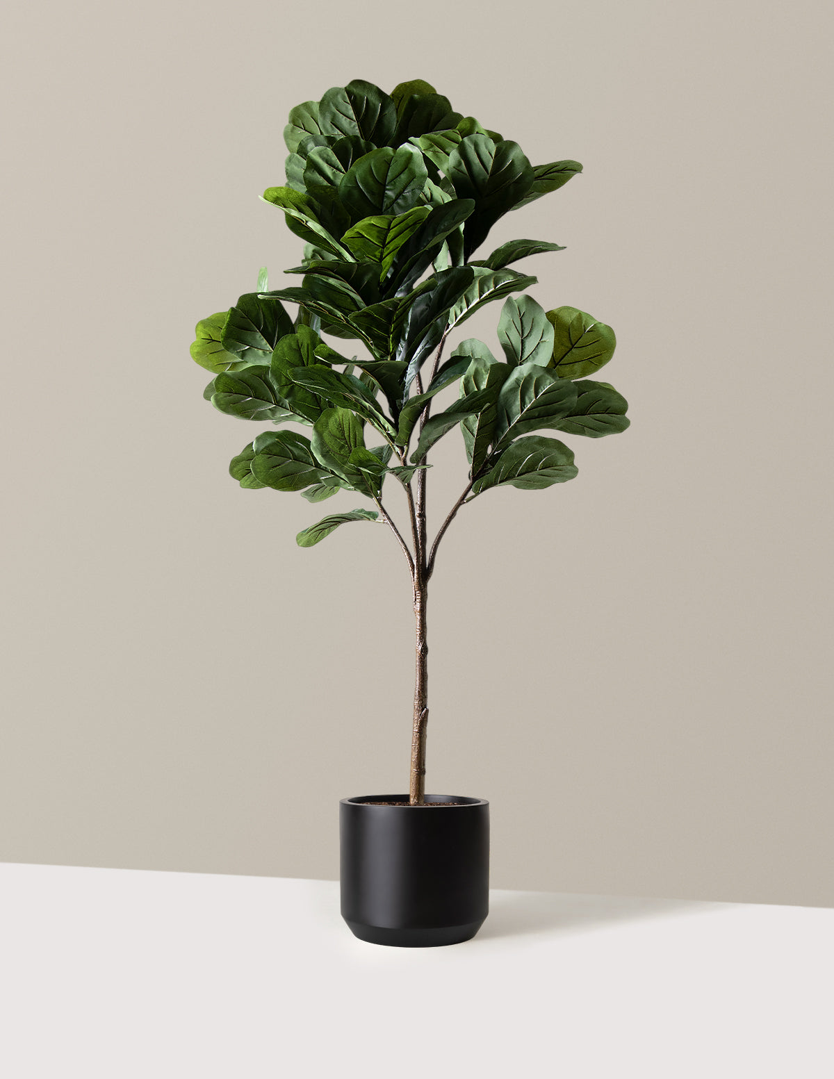 Yapay Deve Tabanı (Fiddle Leaf Fig) Ağacı