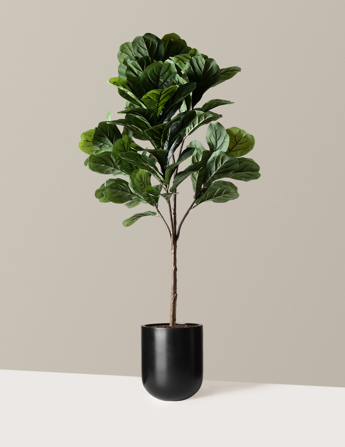 Yapay Deve Tabanı (Fiddle Leaf Fig) Ağacı