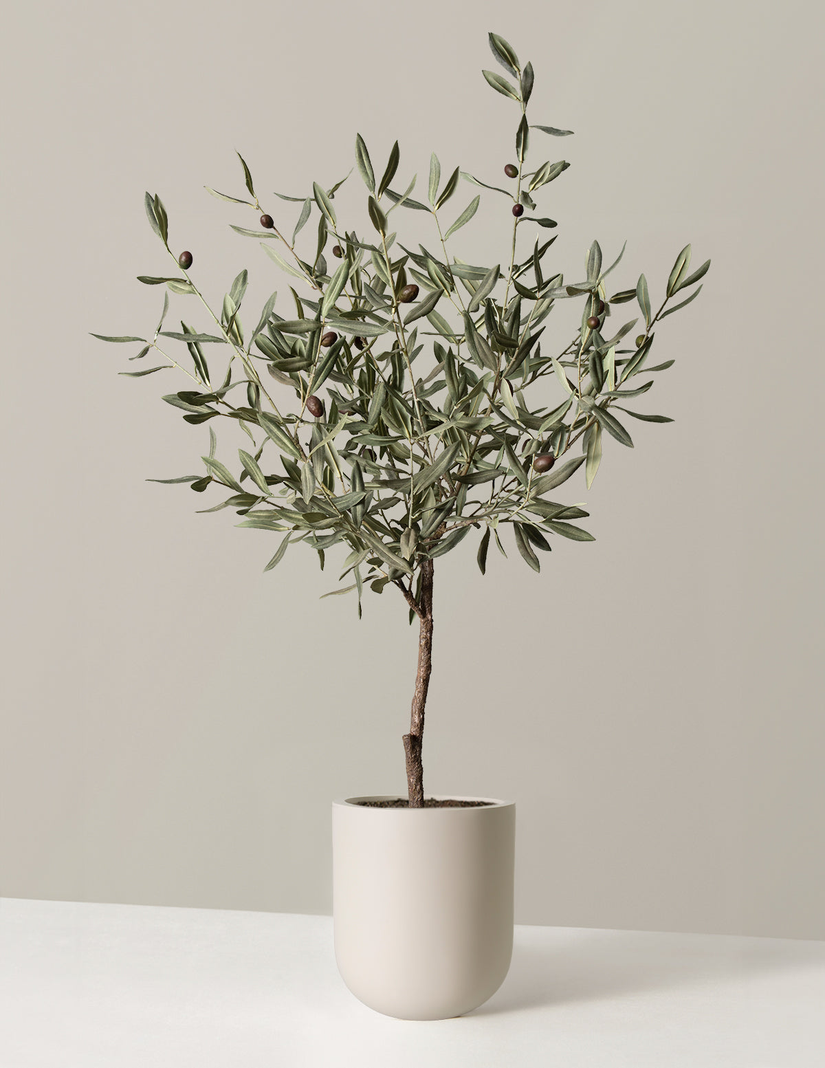 Yapay Zeytin Ağacı
