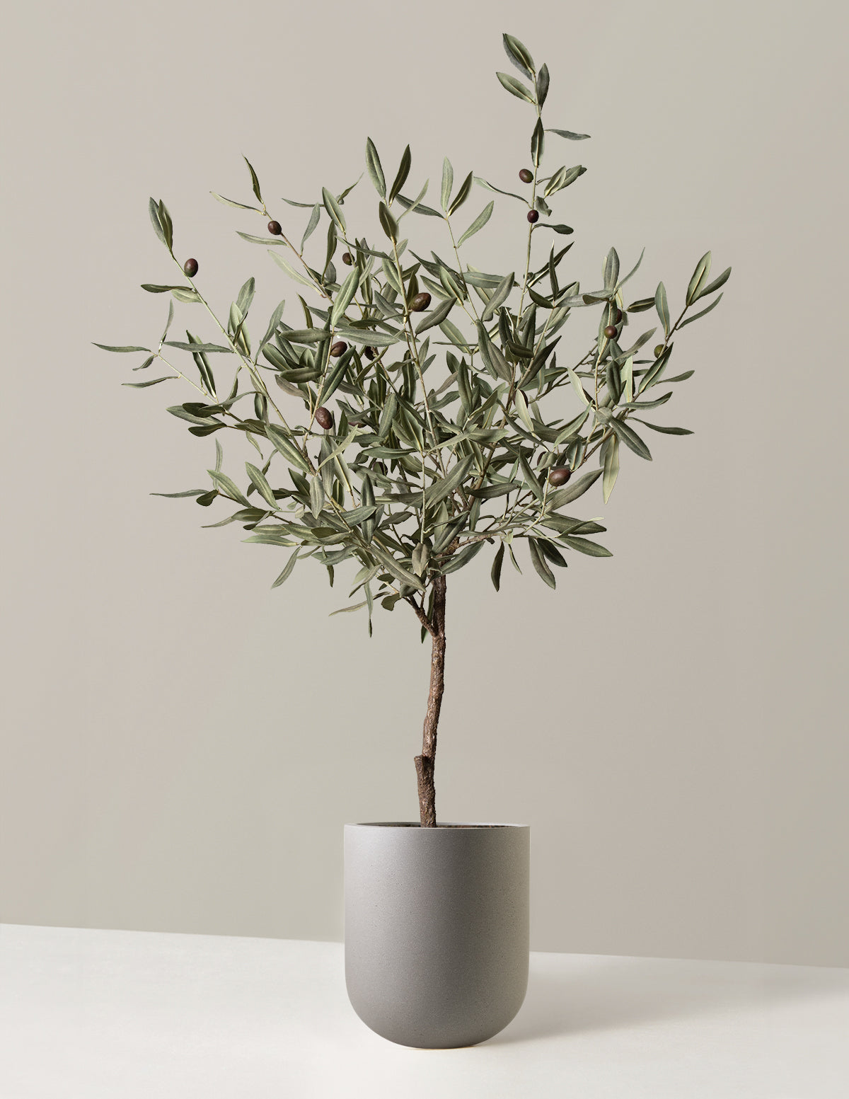 Yapay Zeytin Ağacı