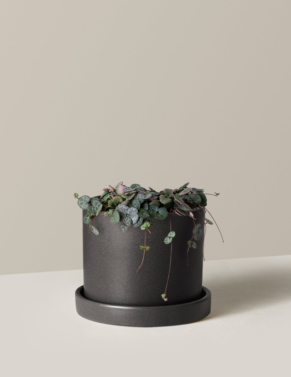 String of Hearts (Kalp Kalbe Karşı)