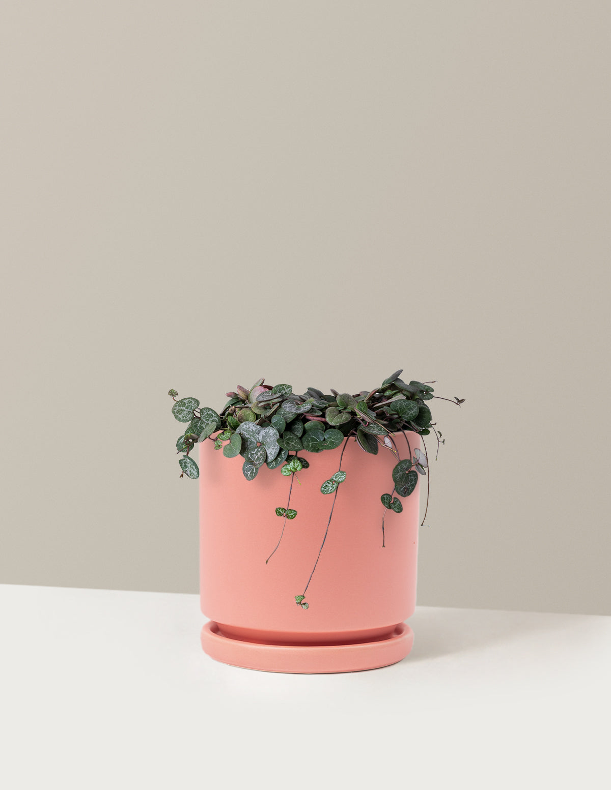 String of Hearts (Kalp Kalbe Karşı)