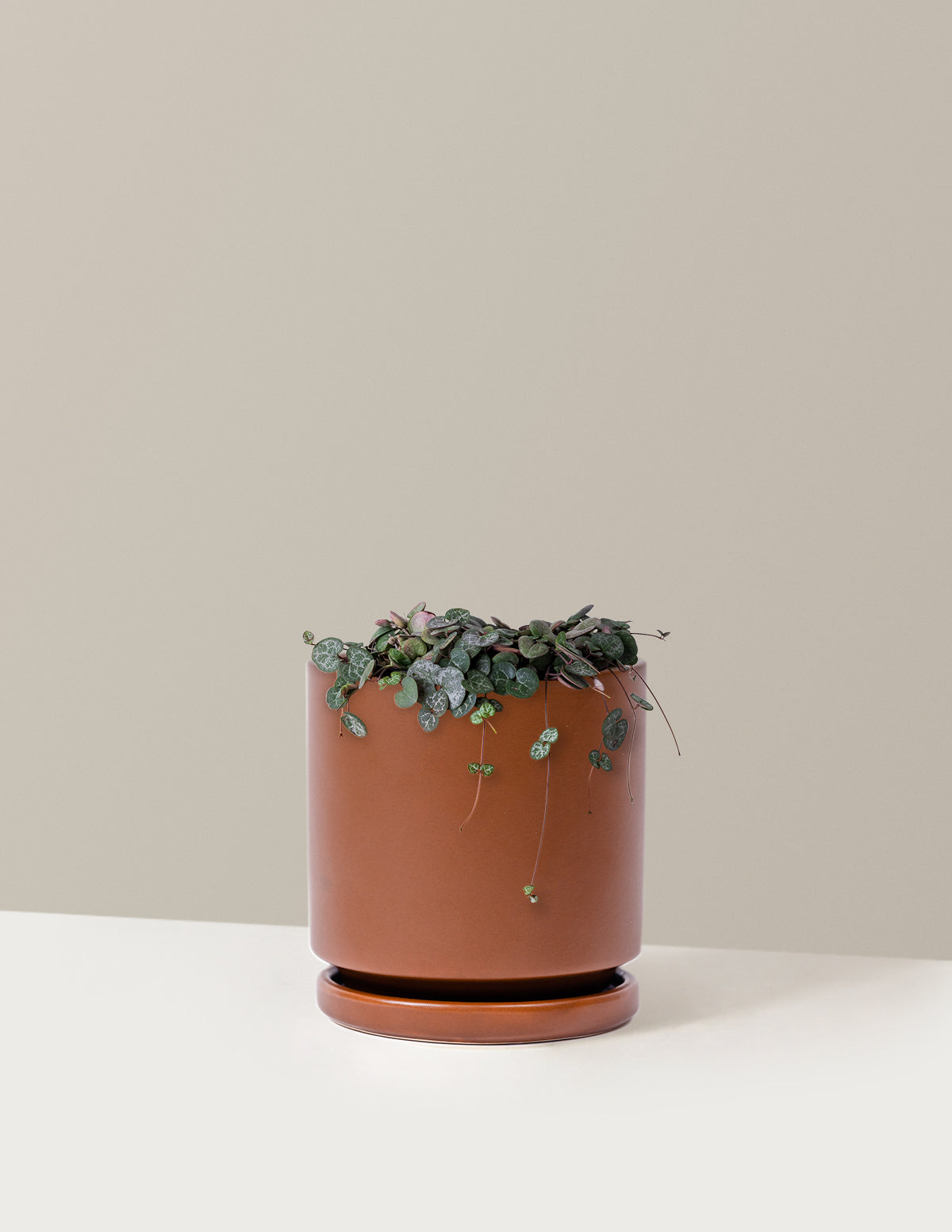String of Hearts (Kalp Kalbe Karşı)