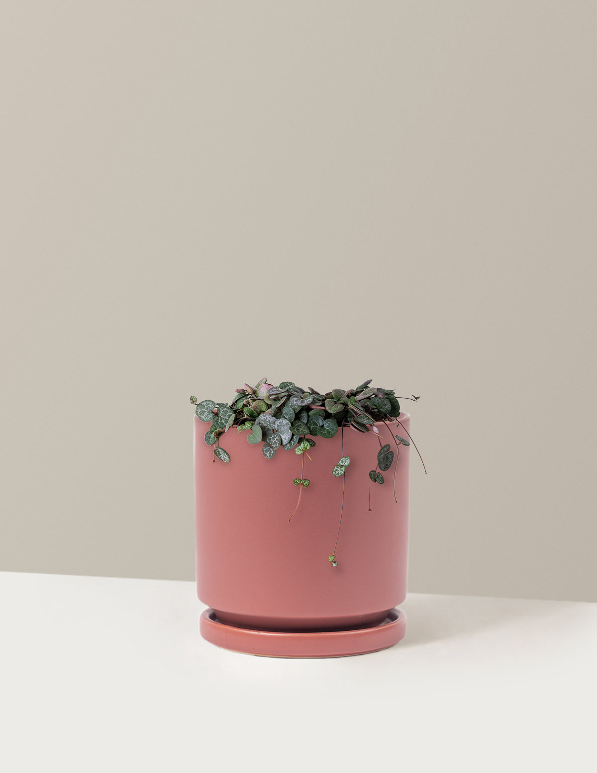 String of Hearts (Kalp Kalbe Karşı)