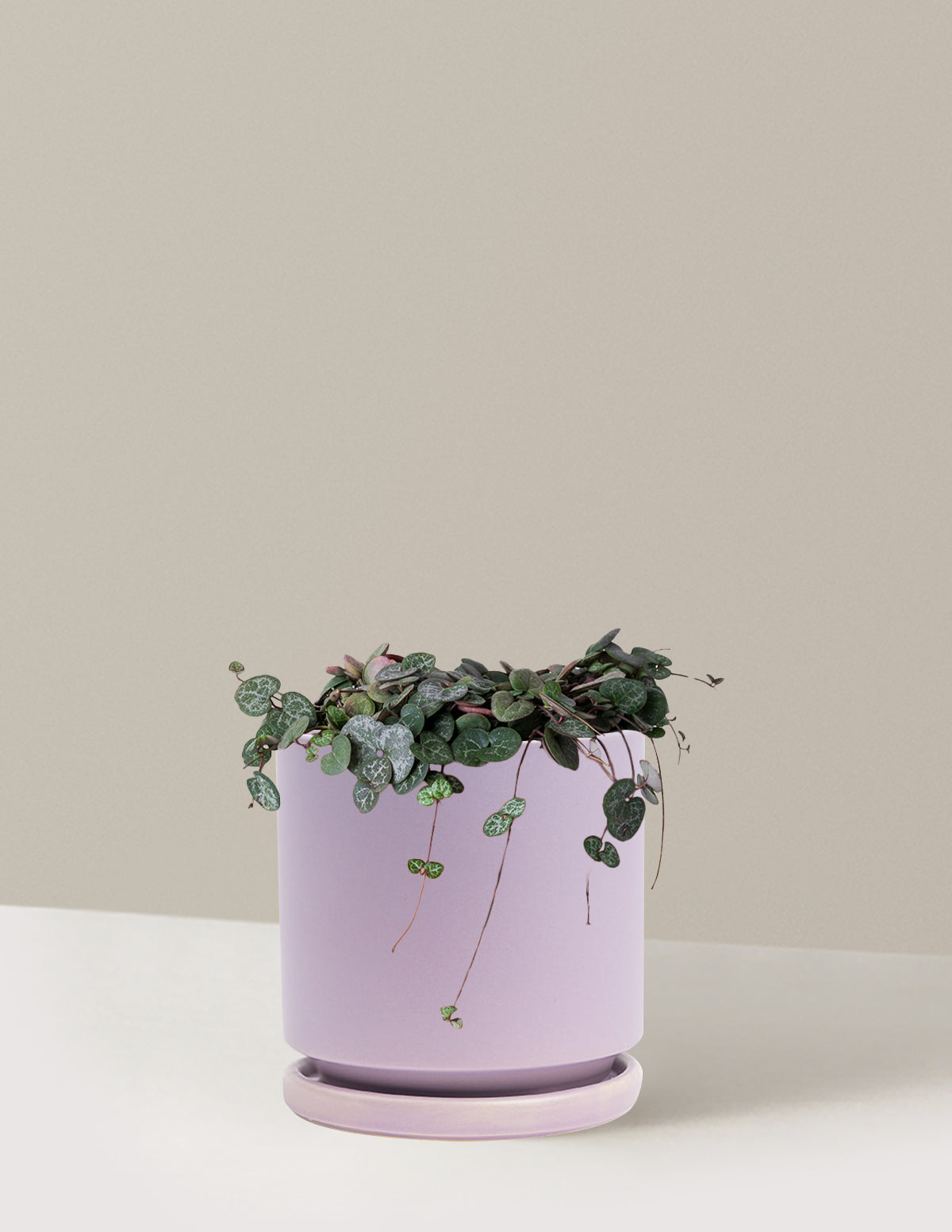 String of Hearts (Kalp Kalbe Karşı)
